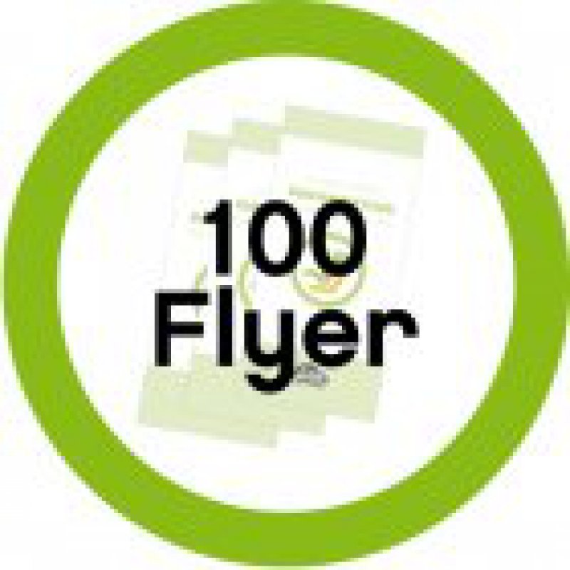 100 Informationsflyer Reboard-Kindersitze