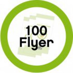 100 Informationsflyer Reboard-Kindersitze
