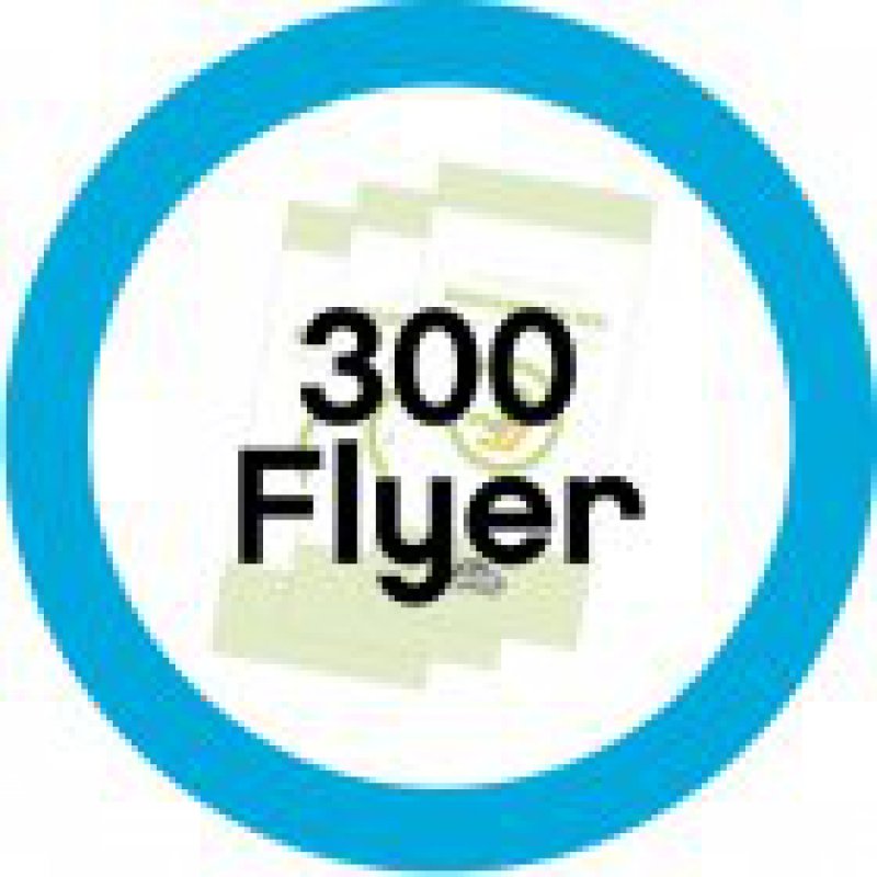 300 Informationsflyer Reboard-Kindersitze